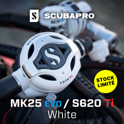 mk25evo s620ti White